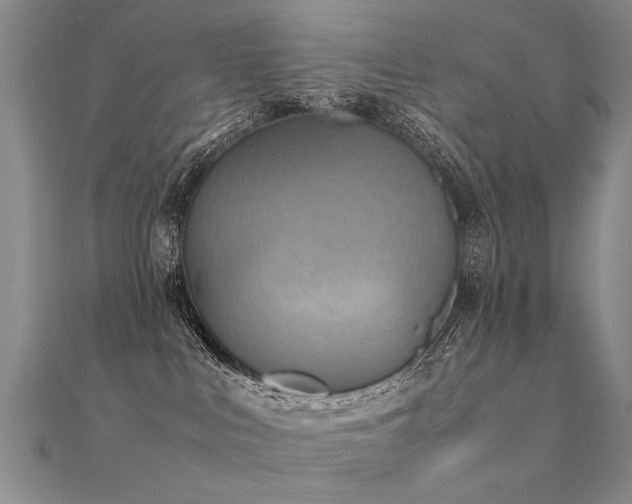 X0000112410043200908141410