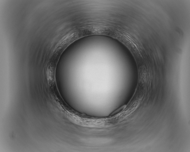X0000112410044200908141410