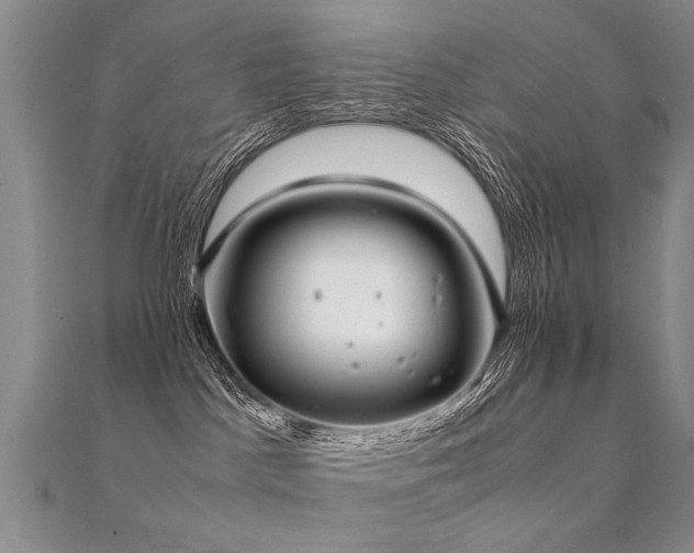 X0000112410045200908141410