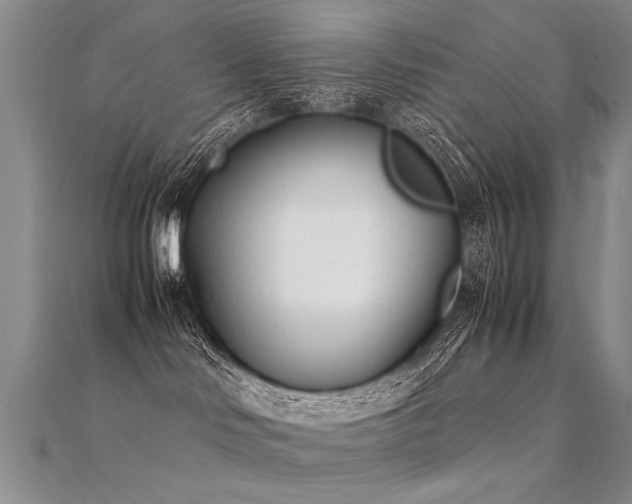 X0000112410046200908141410