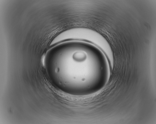 X0000112410047200908141410