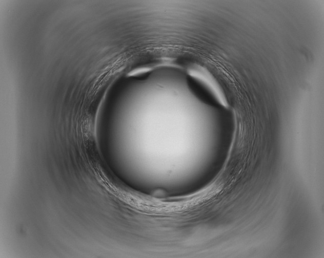 X0000112410048200908141410