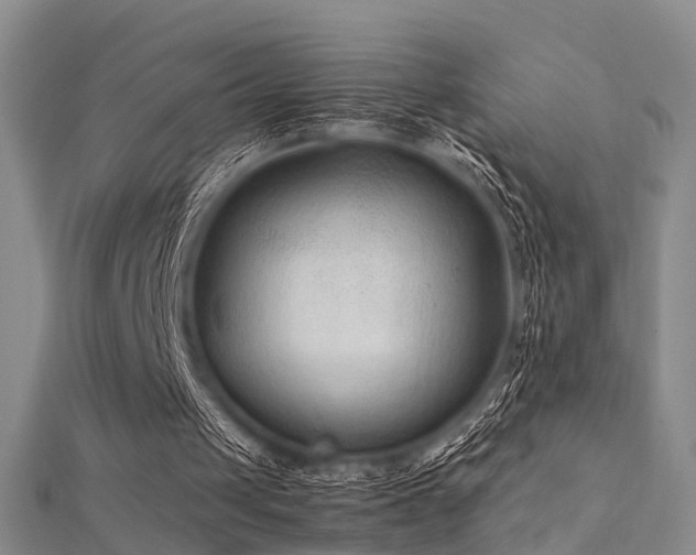 X0000112410049200908141409