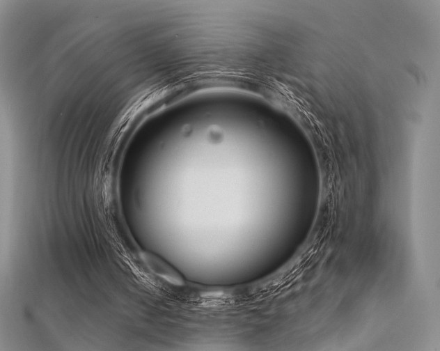 X0000112410050200908141409