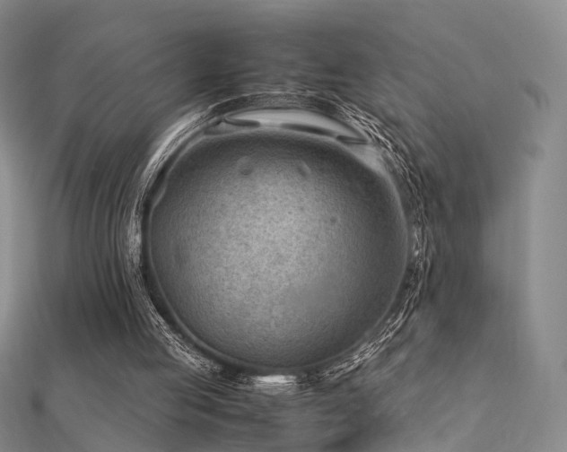 X0000112410053200908141409