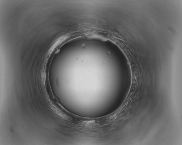 X0000112410054200908141409