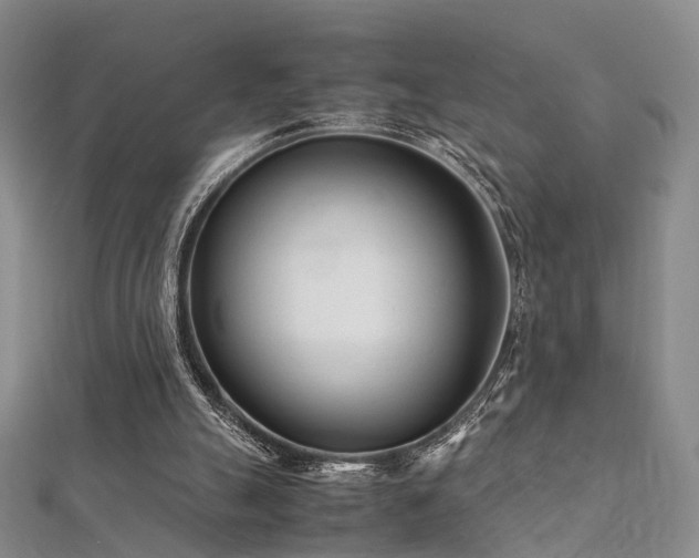 X0000112410055200908141409