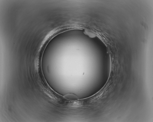 X0000112410056200908141409