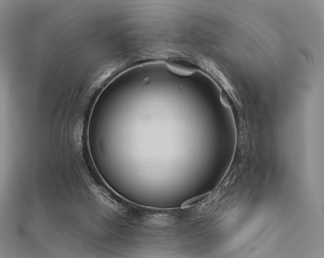 X0000112410058200908141409