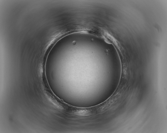 X0000112410059200908141409