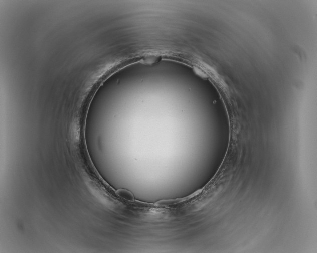 X0000112410060200908141409