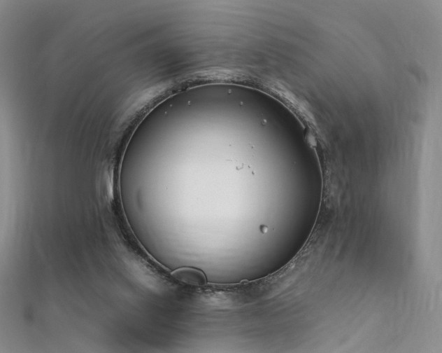 X0000112410062200908141409