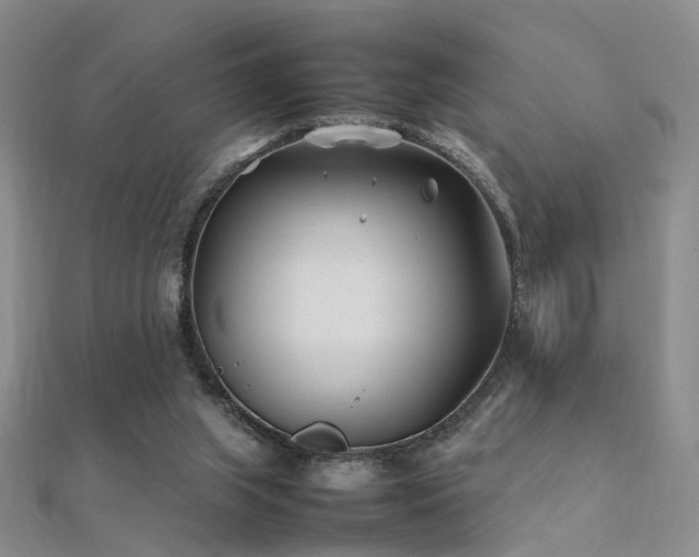 X0000112410063200908141409