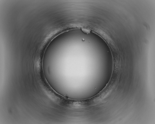 X0000112410064200908141409