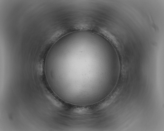 X0000112410065200908141409