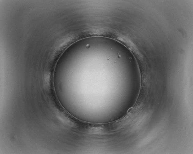 X0000112410066200908141409