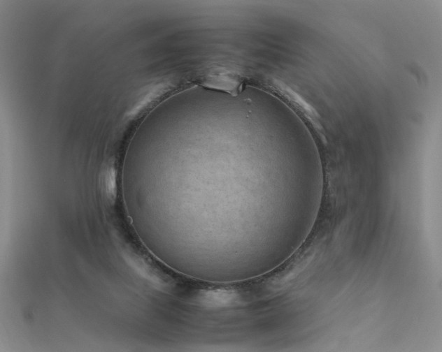 X0000112410067200908141409