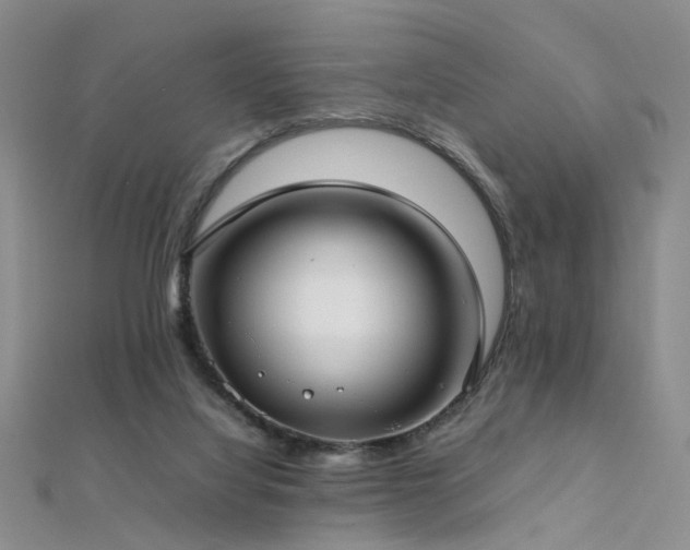 X0000112410068200908141409