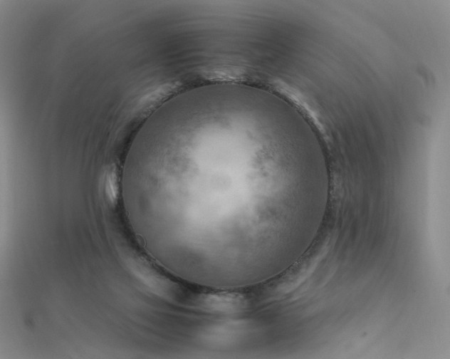 X0000112410069200908141409