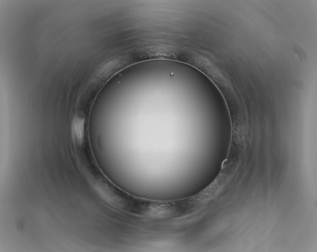 X0000112410070200908141409