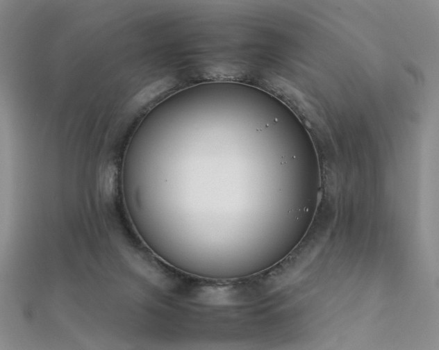 X0000112410071200908141409