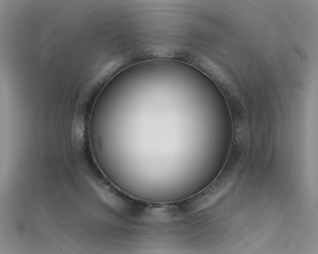 X0000112410072200908141409