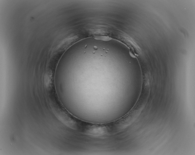 X0000112410073200908141409