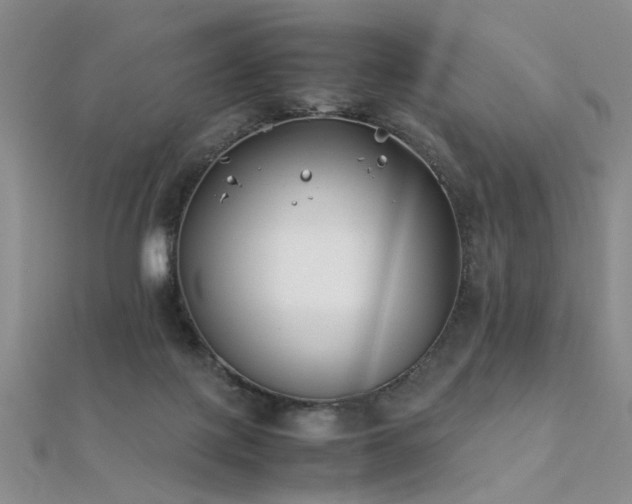 X0000112410075200908141409