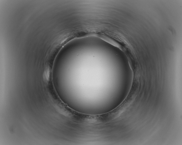 X0000112410076200908141409