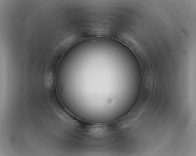 X0000112410077200908141409