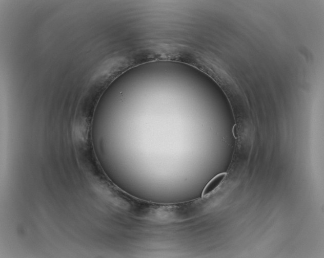 X0000112410078200908141409