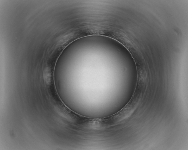 X0000112410080200908141409