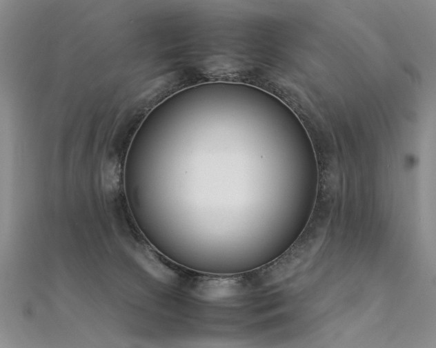X0000112410081200908141409