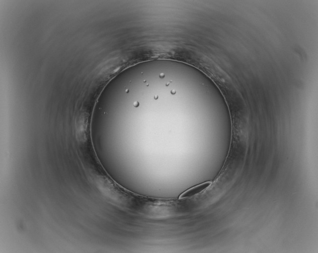 X0000112410082200908141409