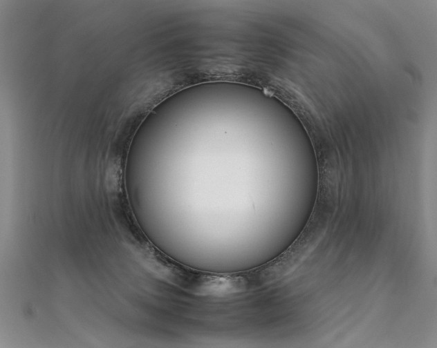 X0000112410083200908141409