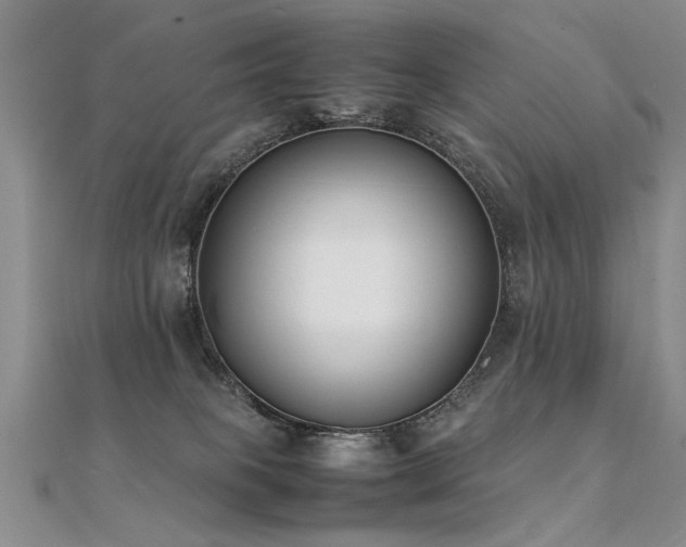 X0000112410085200908141409