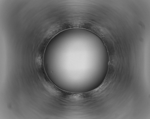 X0000112410086200908141409