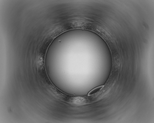 X0000112410087200908141409