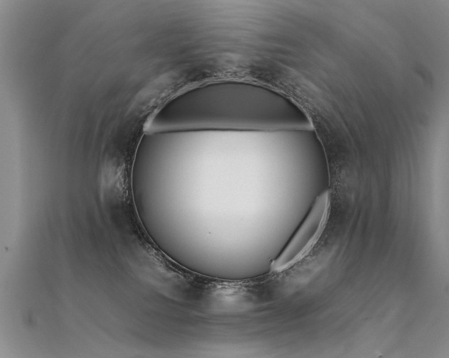 X0000112410088200908141409