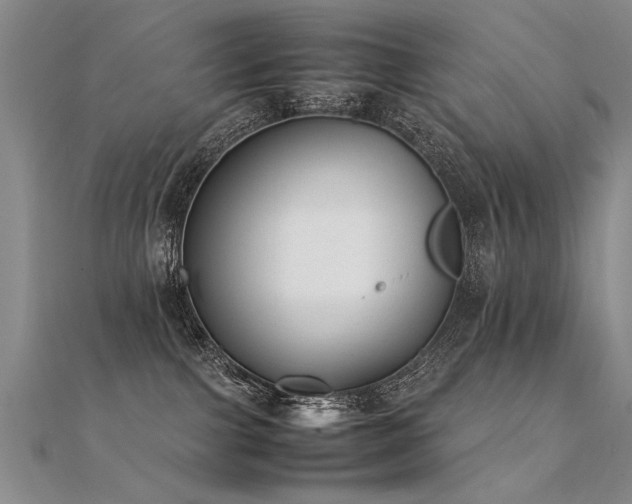 X0000112410091200908141409