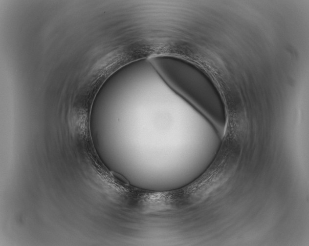 X0000112410092200908141409
