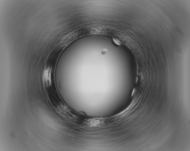 X0000112410094200908141410