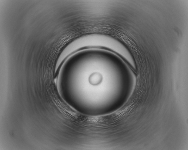 X0000112410096200908141410