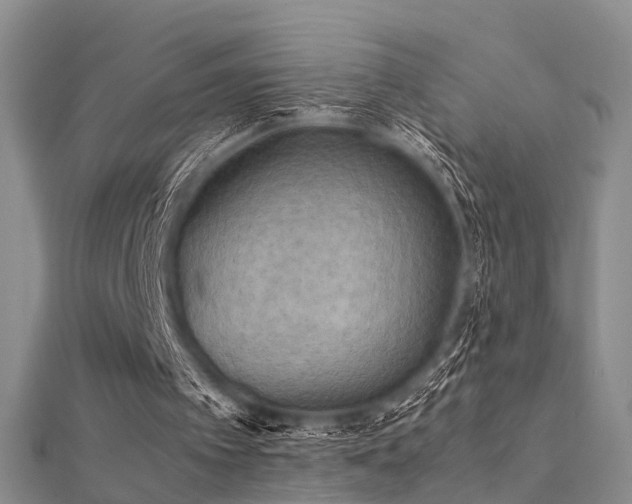 X0000112410097200908141409