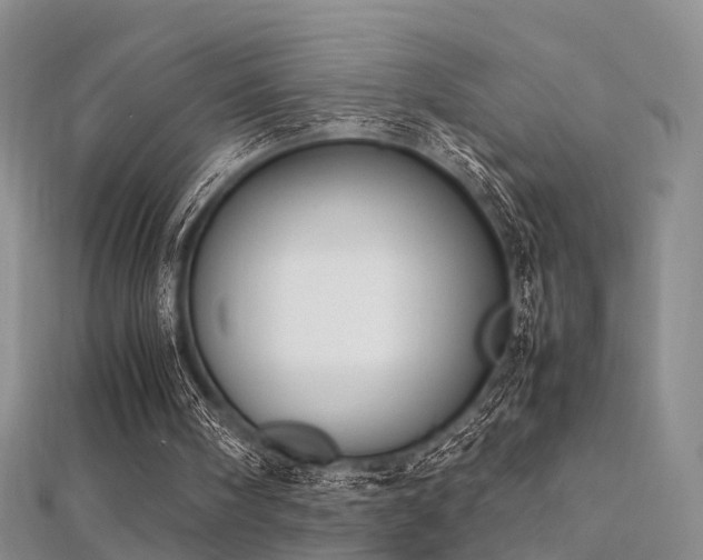 X0000112410098200908141409