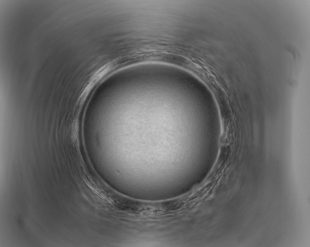 X0000112410099200908141409