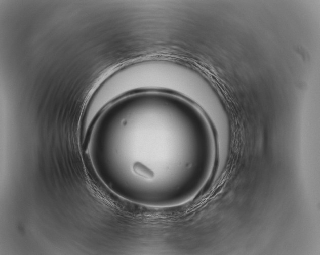 X0000112410100200908141409