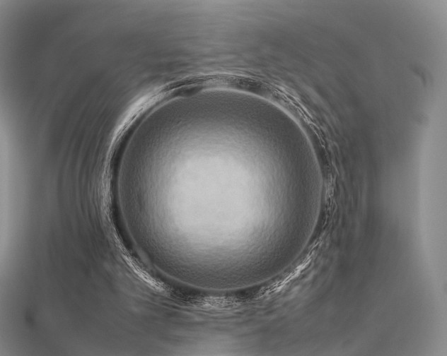 X0000112410101200908141409