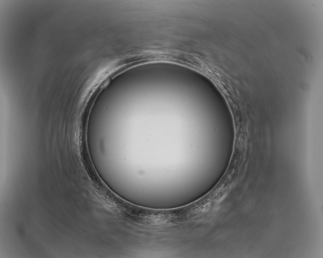 X0000112410103200908141409