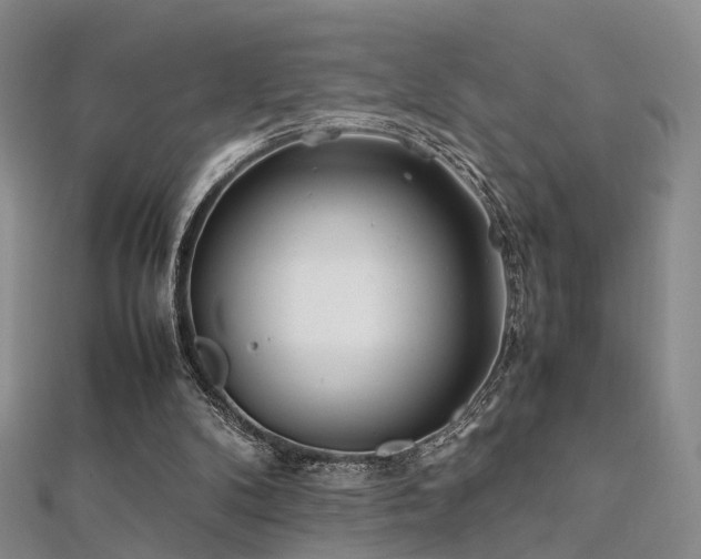 X0000112410104200908141409